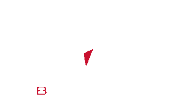 Viny Beltramelli